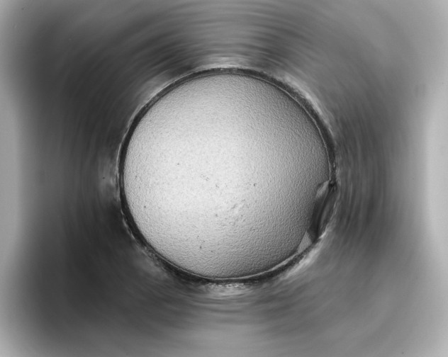 X0000096661129200802261337