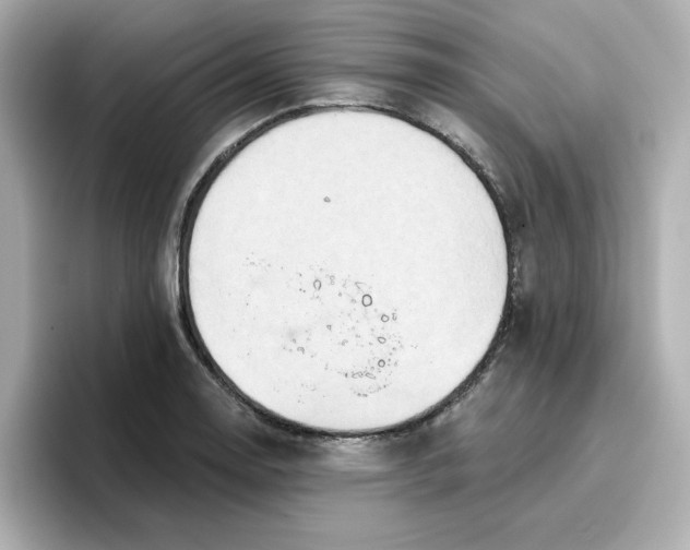 X0000096661130200802261337