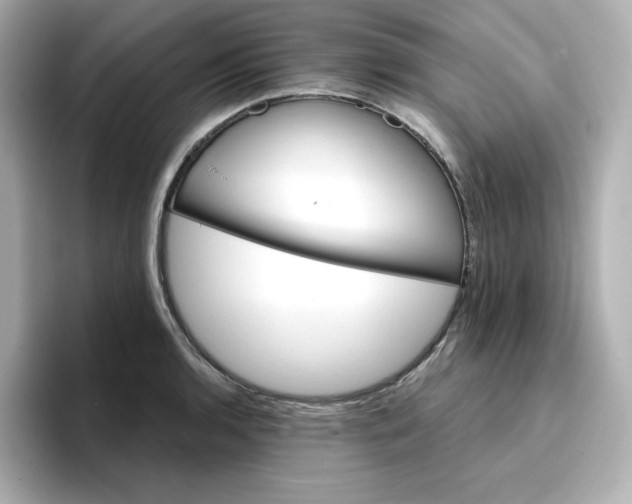 X0000096661136200802261337