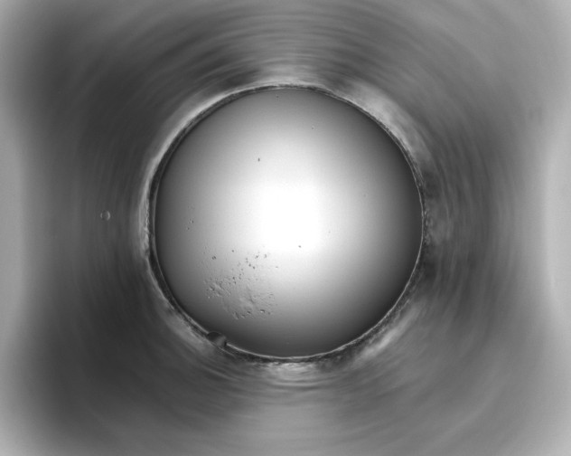 X0000096661140200802261337