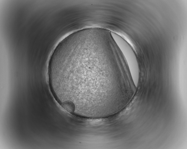 X0000096661143200802261337