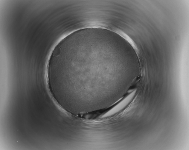 X0000096661144200802261337