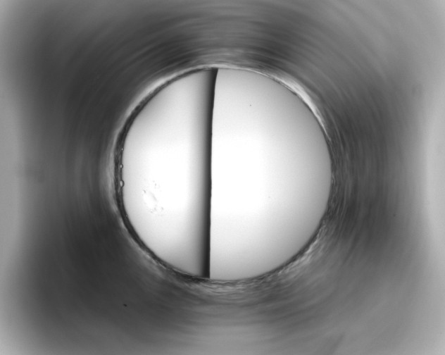 X0000096661147200802261337