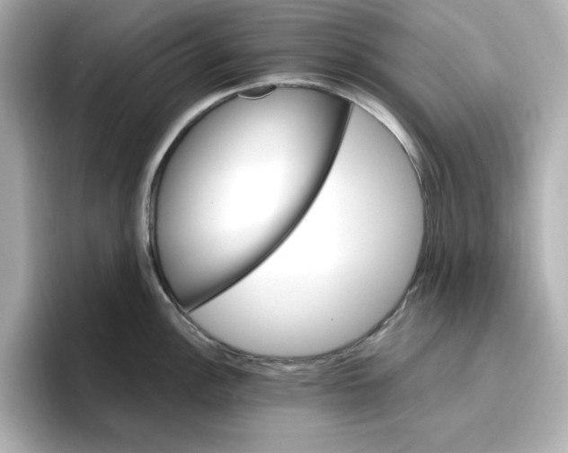 X0000096661148200802261337