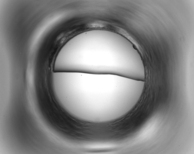 X0000096661151200802261337