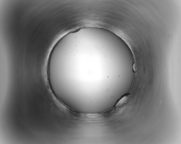 X0000096661152200802261337