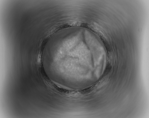 X0000096661154200802261336