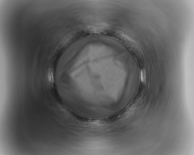 X0000096661155200802261336