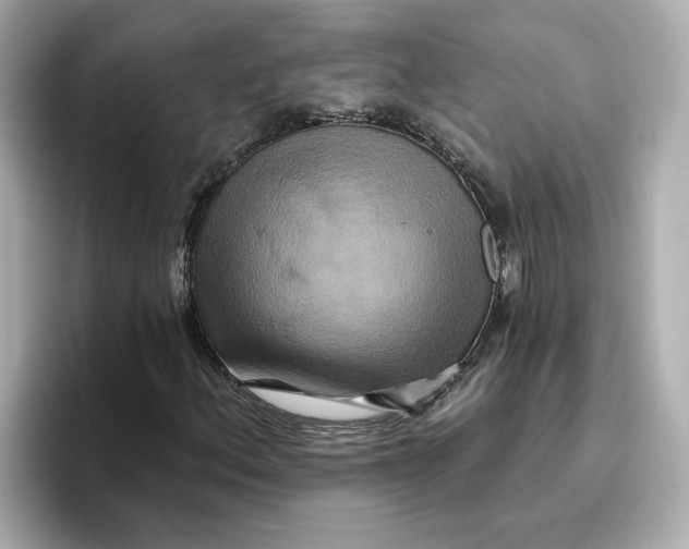 X0000096661156200802261336