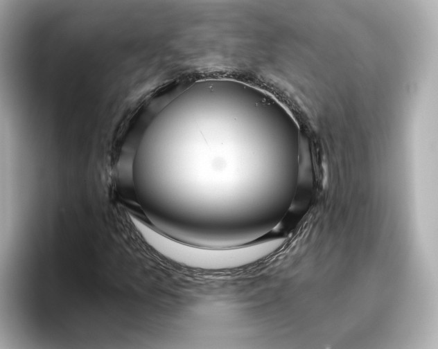 X0000096661157200802261336