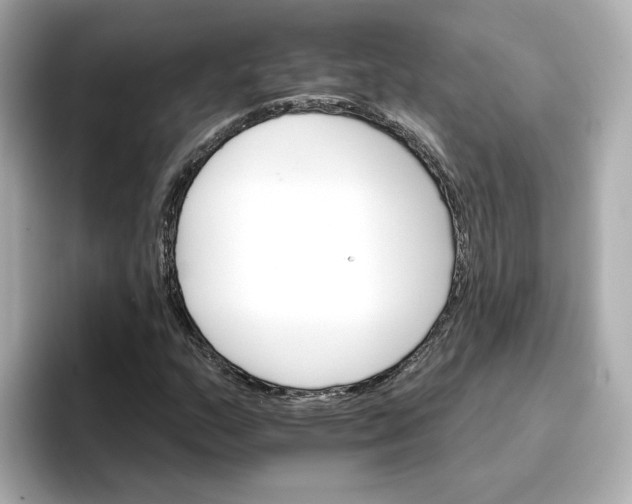 X0000096661159200802261336