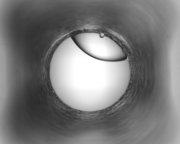 X0000096661160200802261336