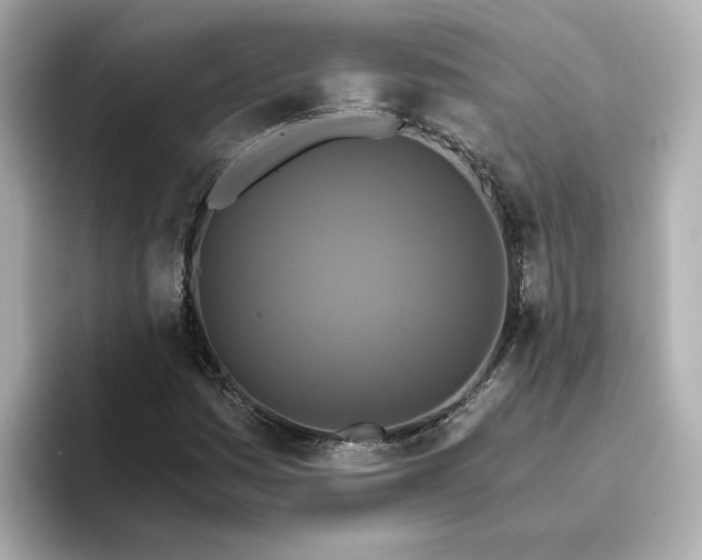 X0000096661161200802261336