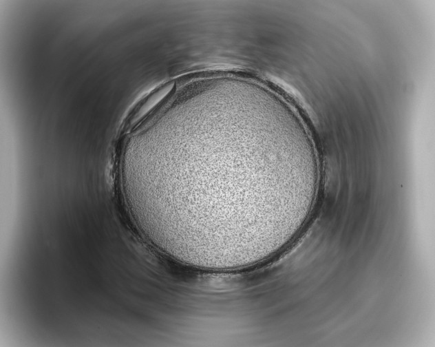 X0000096661163200802261336