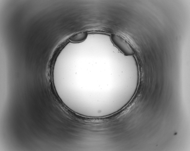 X0000096661164200802261336