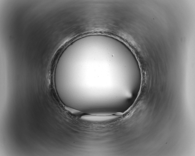 X0000096661165200802261336