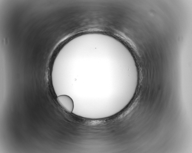 X0000096661166200802261336