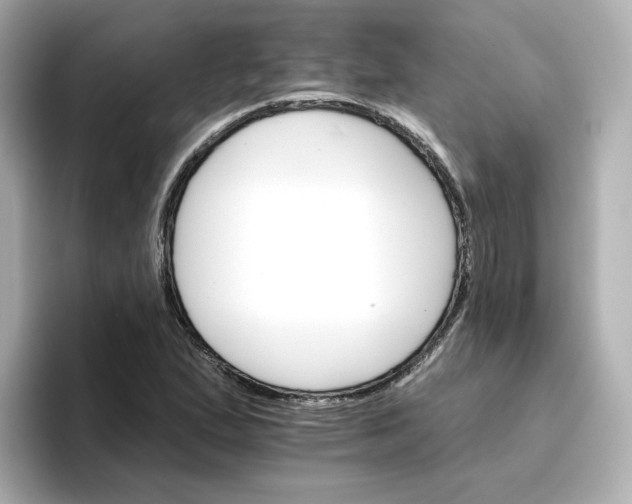 X0000096661167200802261336