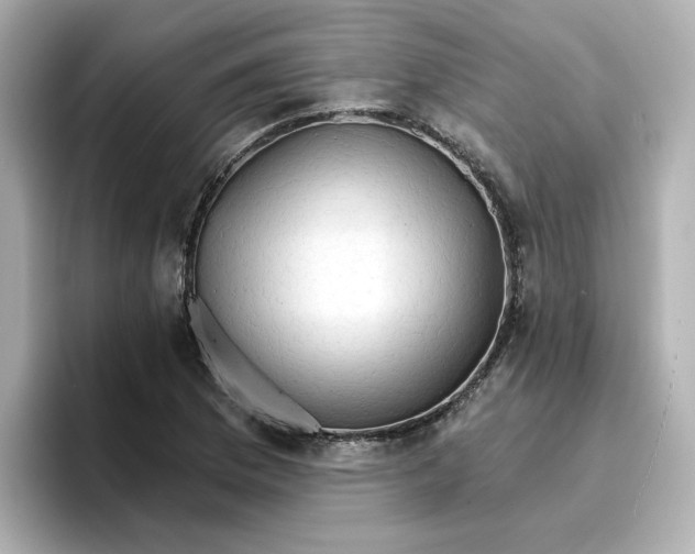 X0000096661169200802261336