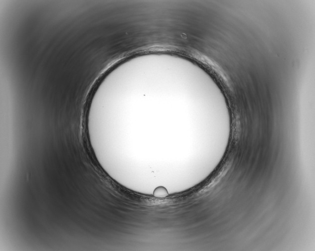 X0000096661170200802261336