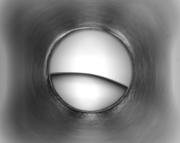 X0000096661172200802261336