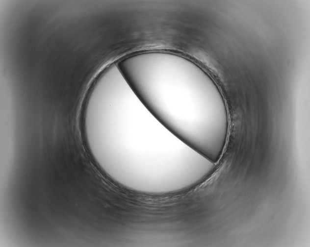 X0000096661173200802261336