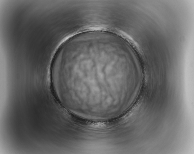 X0000096661174200802261336