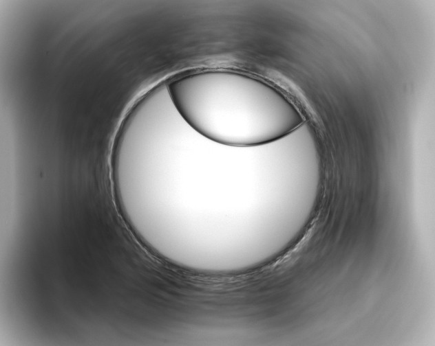 X0000096661176200802261336