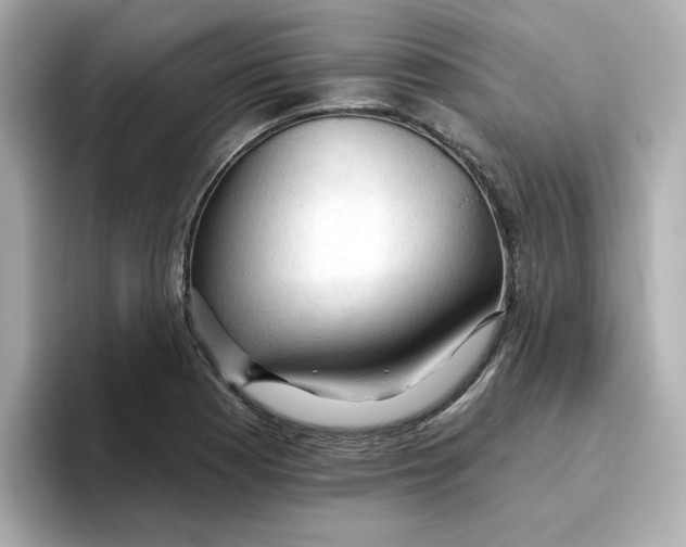 X0000096661177200802261336