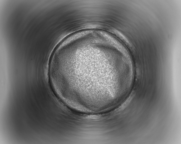 X0000096661178200802261336