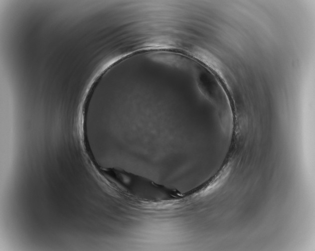 X0000096661179200802261336