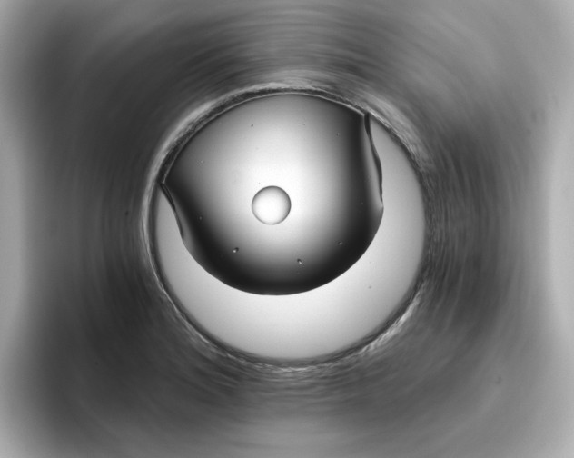 X0000096661180200802261336