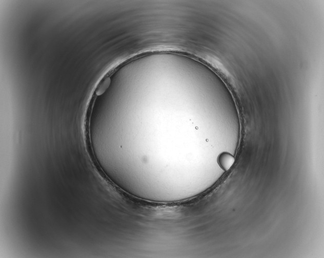 X0000096661181200802261336