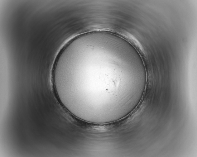 X0000096661182200802261336