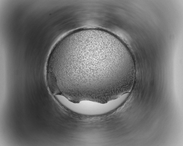 X0000096661183200802261336