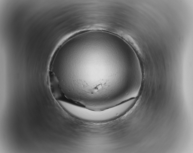 X0000096661184200802261336