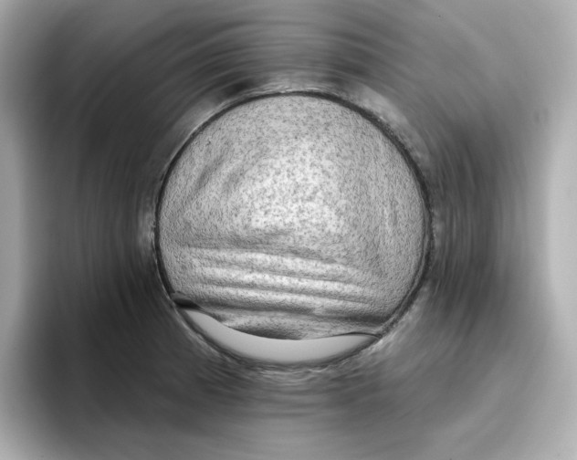 X0000096661185200802261336