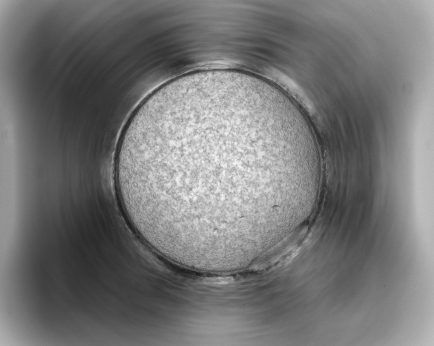 X0000096661186200802261336