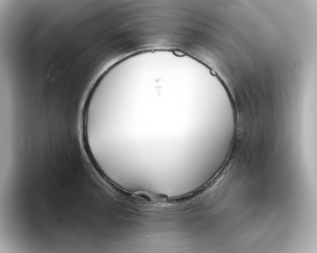 X0000096661187200802261336