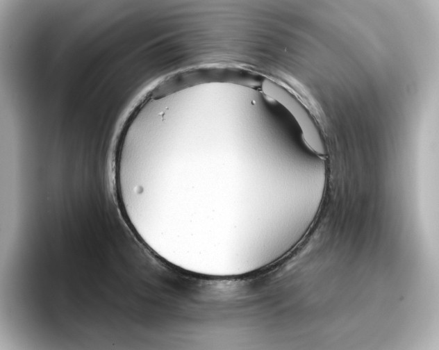 X0000096661188200802261336