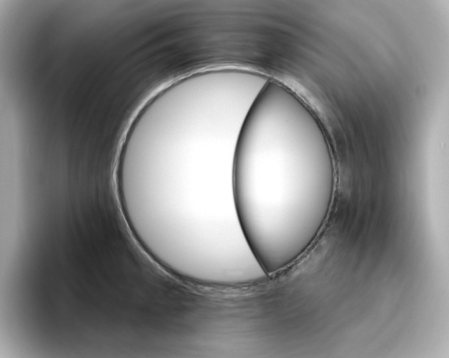 X0000096661189200802261336