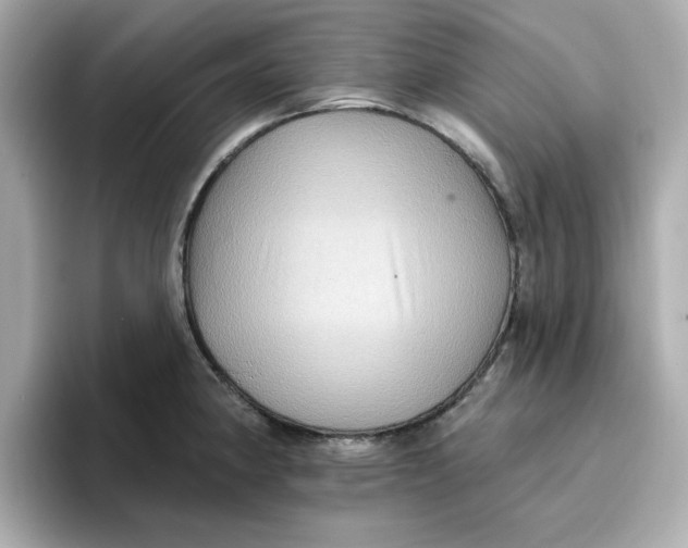 X0000096661190200802261336