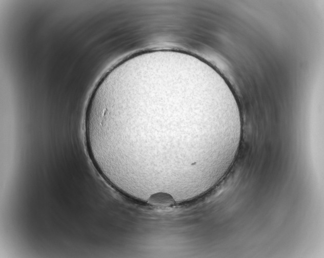 X0000096661191200802261336