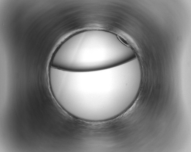 X0000096661192200802261336