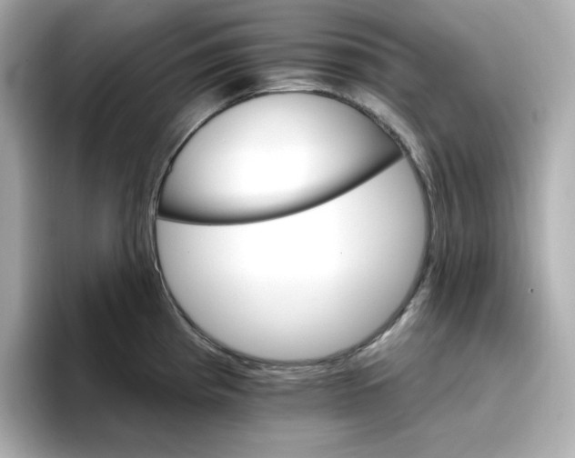 X0000096661193200802261336