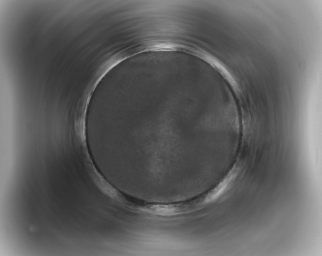 X0000096661194200802261336