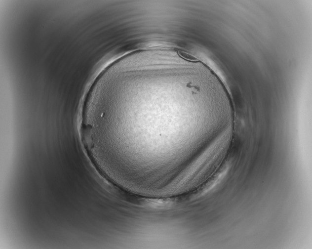 X0000096661195200802261336