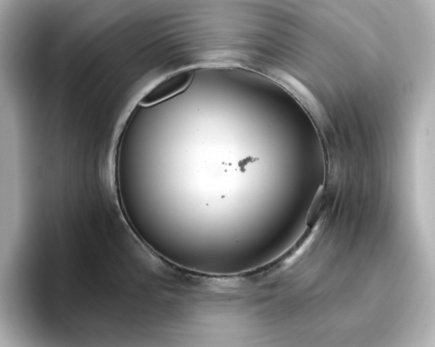 X0000096661196200802261336