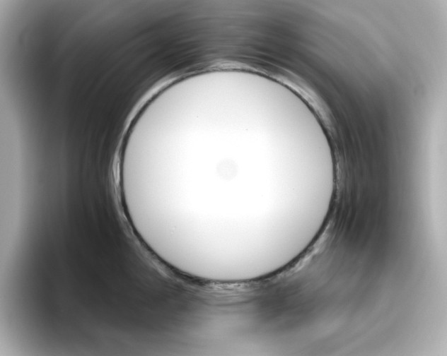 X0000096661198200802261336