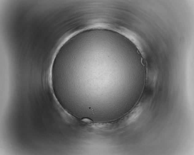 X0000096661199200802261336